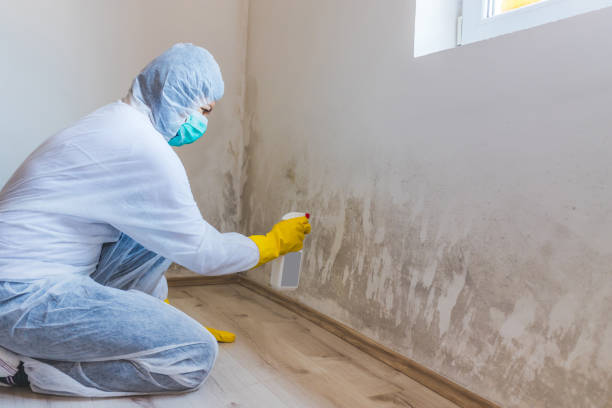 Mold Remediation specialist working in Shermans Dale