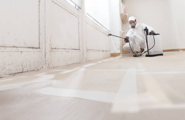 Black mold remediation team in Shermans Dale